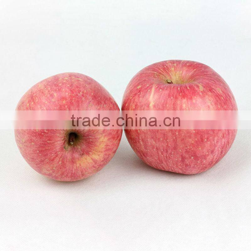 Plastic apple kawaii charm keychain | Artificial fruits 3D fridge magnet | Yiwu Sanqi Crafts - Fake food manufacturer in China