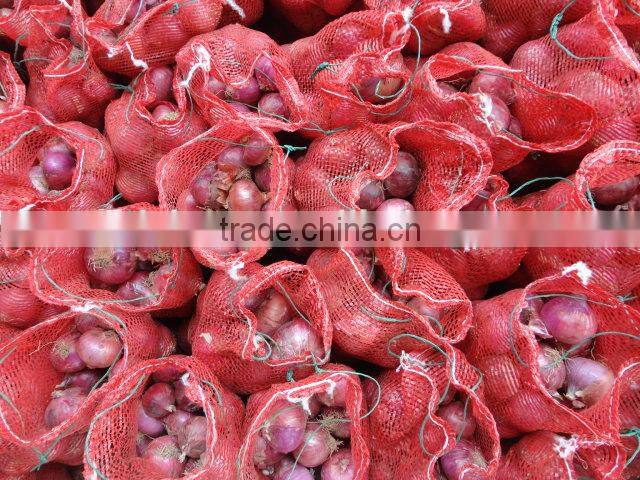 2014 Fresh pink Onion for sale