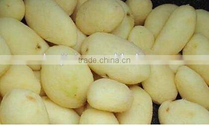 high efficiency potato peeling cutting machine/potato slicing machine