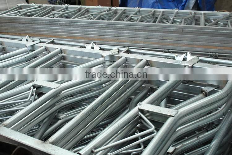 Cattle Head Lock for Dairy Farm