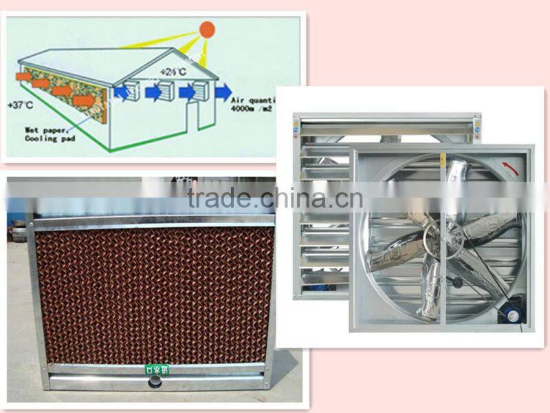 poultry dung removing machinery equipment /layer poultry cages for nigeria/africa