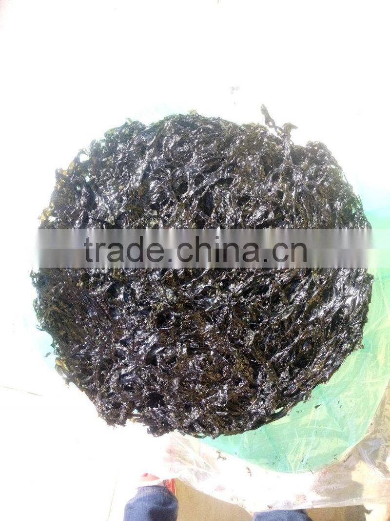 Natural laver seaweed,seaweed sheets,wholesale dried seaweed,nori flakes,sea moss