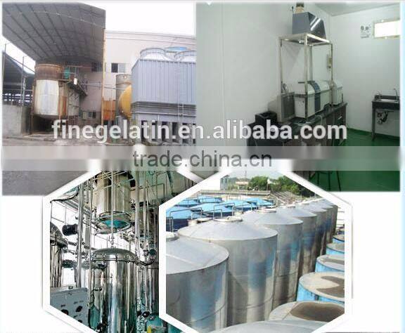 Industrial bovine gelatin used for match head