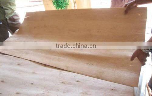 BEST SALES FOR EUCALYPTUS CORE VENEER