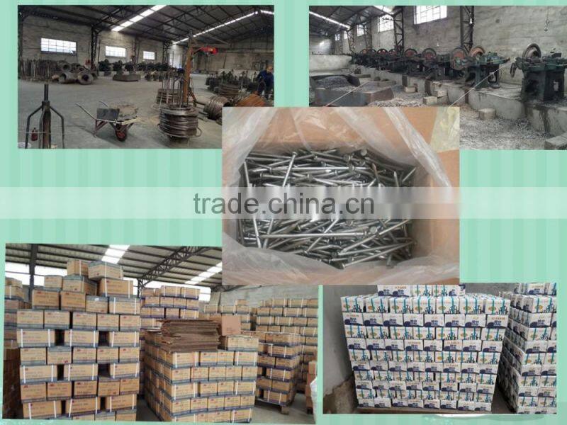 Good quality 15cm Common Nails/polished Iron Nail / standard Wire Nail