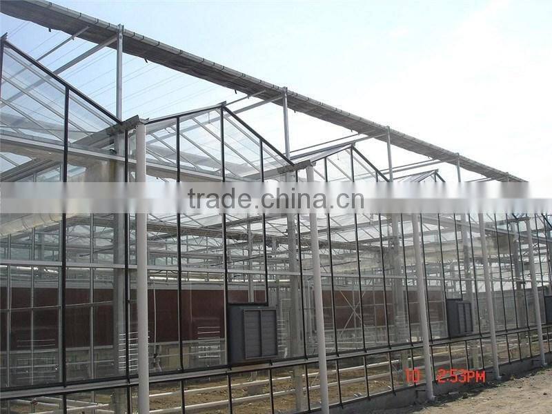 Hot sale multi span glass greenhouse