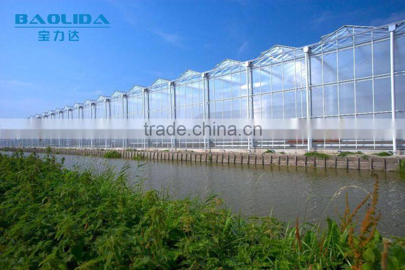 hot dip galvanized framework plastic film greenhouse for vegetables and plant