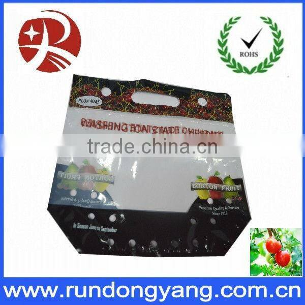 Hot sale plastic fruit bag for Fresh apple packing