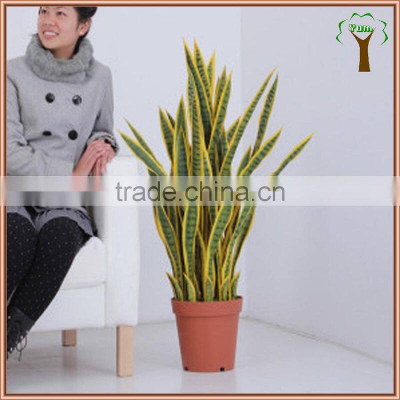 potted fake variegated sansevieria plant