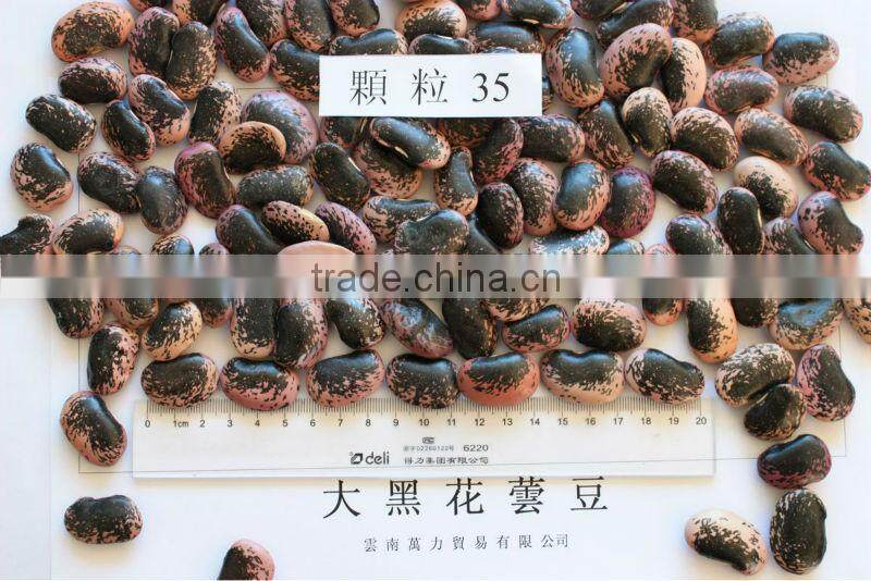 Large Black Speckled Kidney Beans, max. 45/100gr