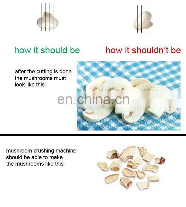 500-700kg/h stainless steel mushroom slicing machine/mushroom cutting machine