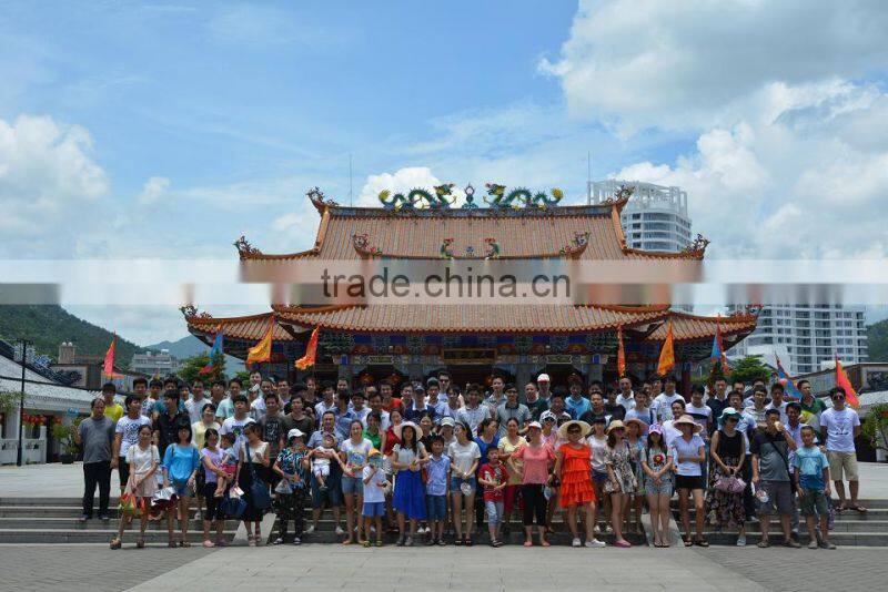 Hot sale Modified sine wave 1000w power inverter, home use small power Inverter