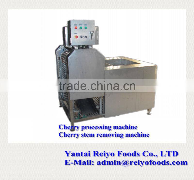 fruit stem removing machine / chilli stem removing machine