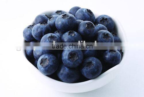 offee bean classifier machine/soybean grading machine/blueberry grading machinery