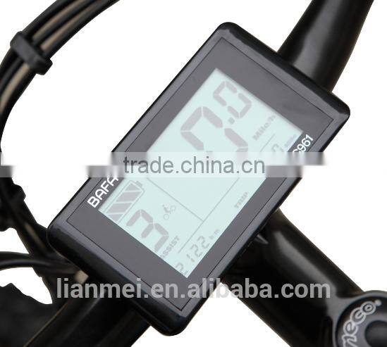 Mountain e-bike, sports style, 2014 new model