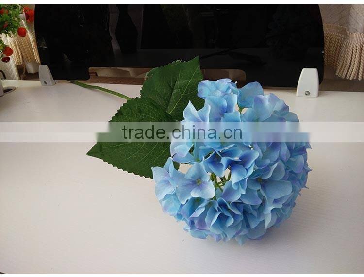 White House plants Hydrangea for wedding