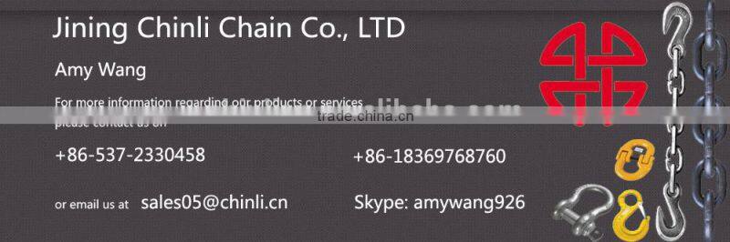 Chinli factory Galvanized Weldless single jack chain