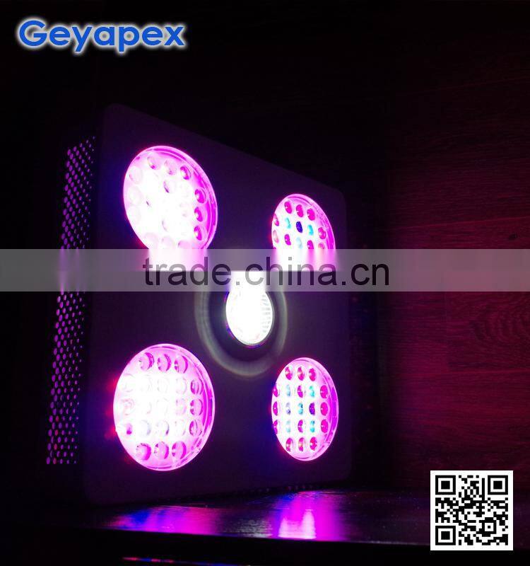 PAR Powered Budmaster II 1200 G.O.D LED Grow Light 600w New Arrival 2015