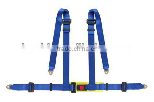 2 point safety belt