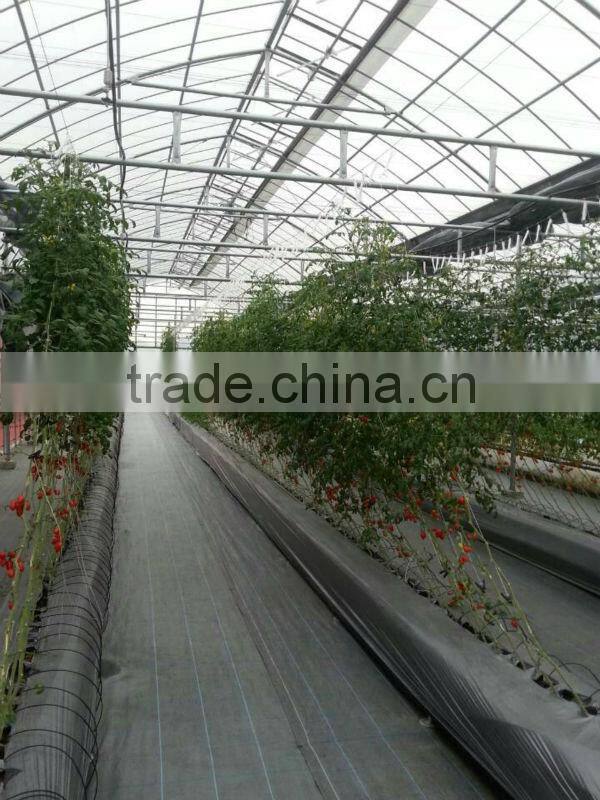 hydroponic NFT growing system greenhouse