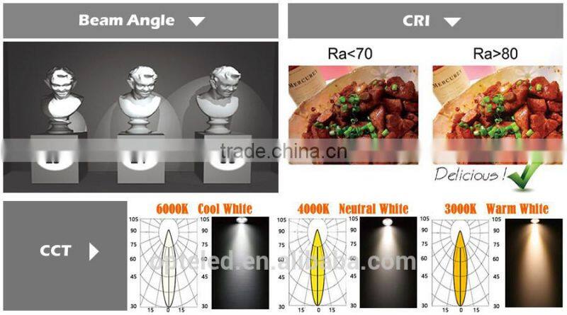 COB 30W Led Downlight with 3 years warranty