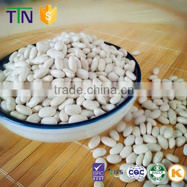 TTN wholesale haricot bean and white kidney beans price