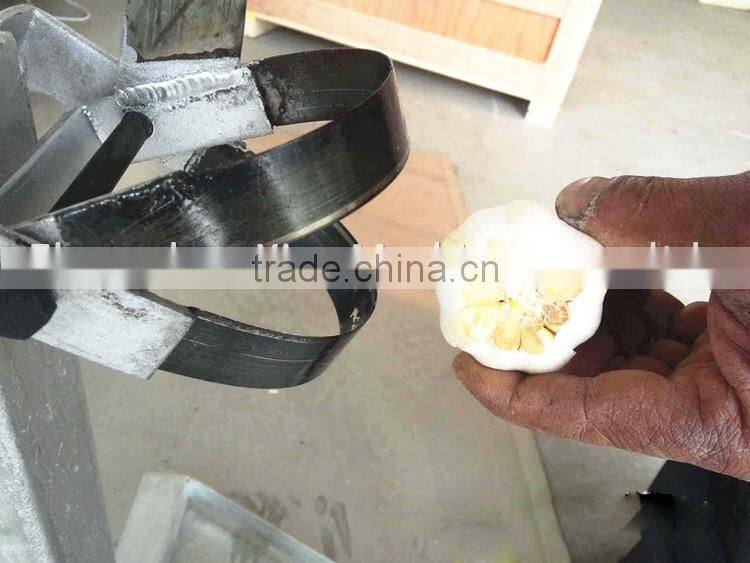 Garlic root cutting machine / garlic root cutter / garlic cutting machine