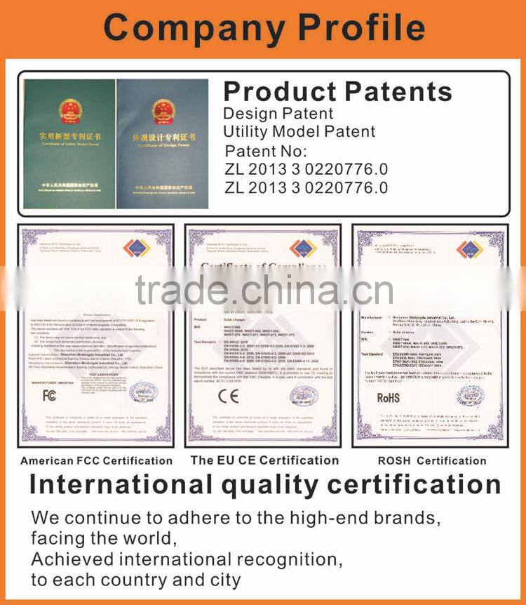 Portable and durable High capacity 12 volt power bank