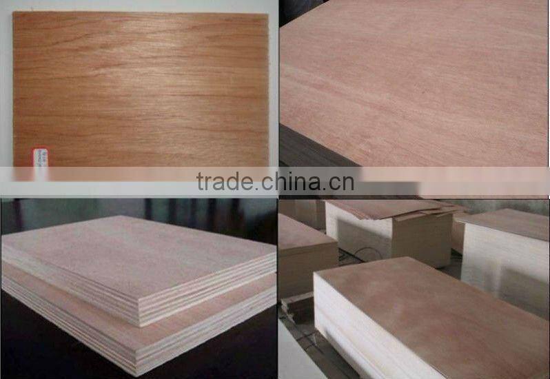 1220*2440mm best price veneer plywood for furniture