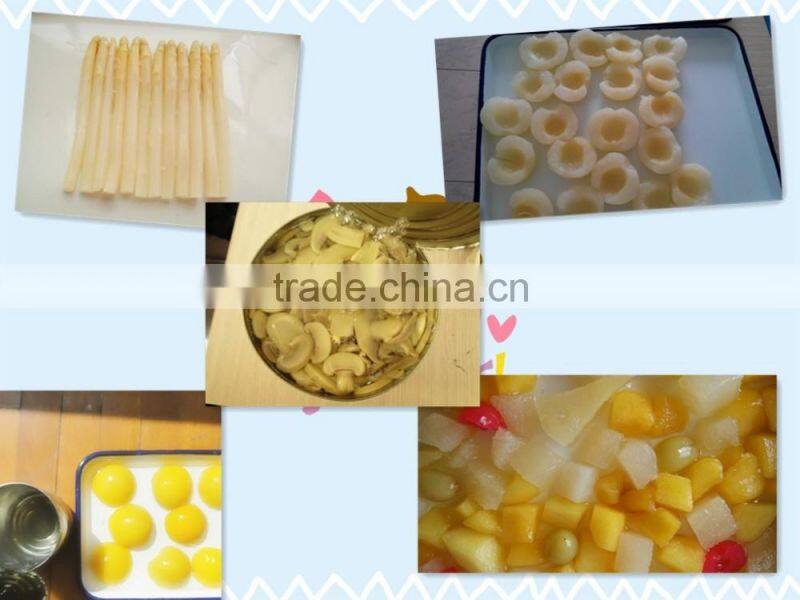 Mixed Fruit Salad in Light Syrup