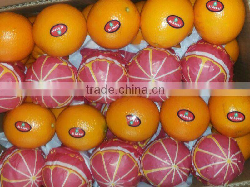 Golden Fresh Citrus Navel And Valencia ORANGE