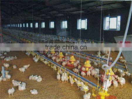 Floor rearing feeders for Broiler