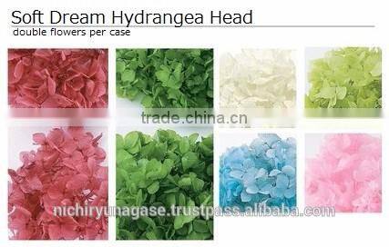 Pretty and Cute real touch hydrangea preserved flowers with various species