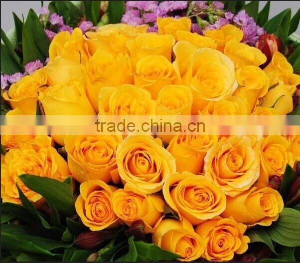 2016 Kunming fresh cut flowers fresh cut roses wholesale price