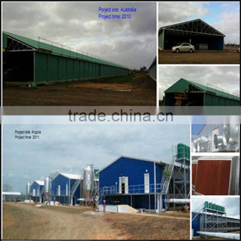 Industrial shed steel structure building design poultry farm shed chicken house for layers
