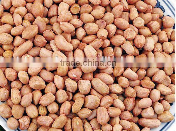 Lowest price best quality peanuts hull remove machine
