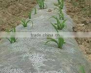 PE plastic film for greenhouse/mulch/agriculture