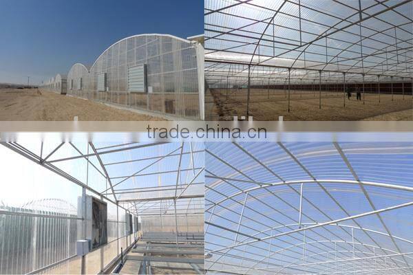 Polycarbonate Agricultural Greenhouse Sheet (Valuview ROMA)