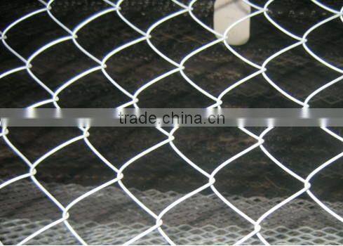 Best Price High Quality chain link fence