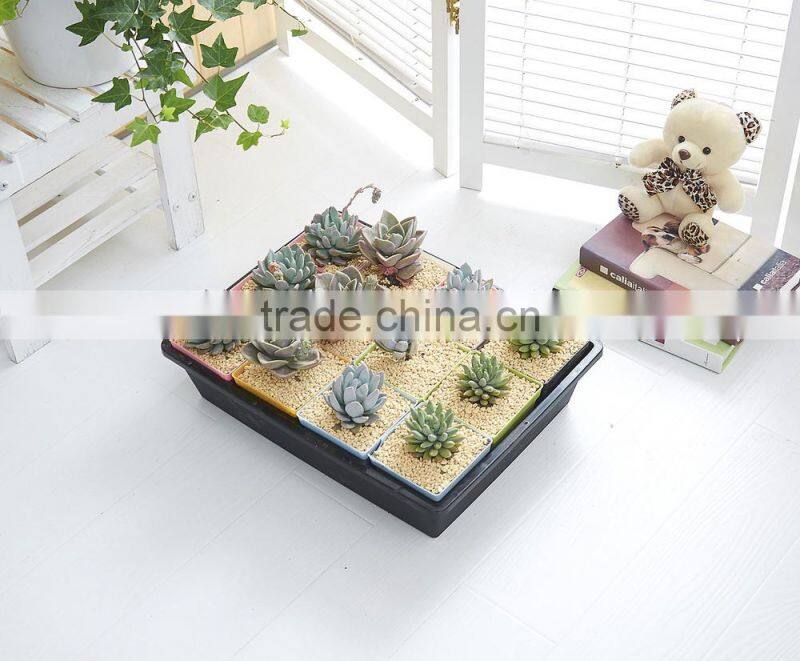 Durable 12 Cells Hole Nursery Pots Plant Seeds Grow Box Tray Insert Propagation Seeding Case Flower pot plug plant trays