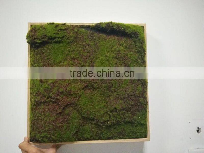 New wall frame with artificial plants