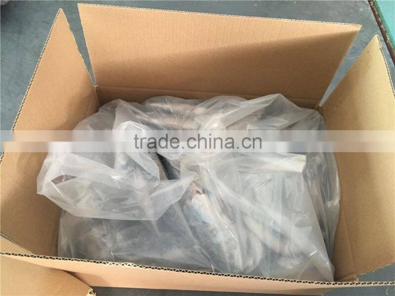 WR BQF frozen pacific mackerel 200-300g
