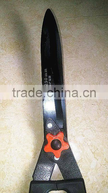 purning shears with telescopic handle