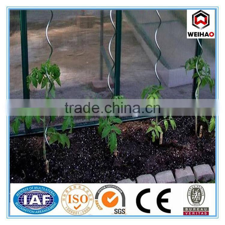 (galvanized or PVC coated Tomato Support Stick