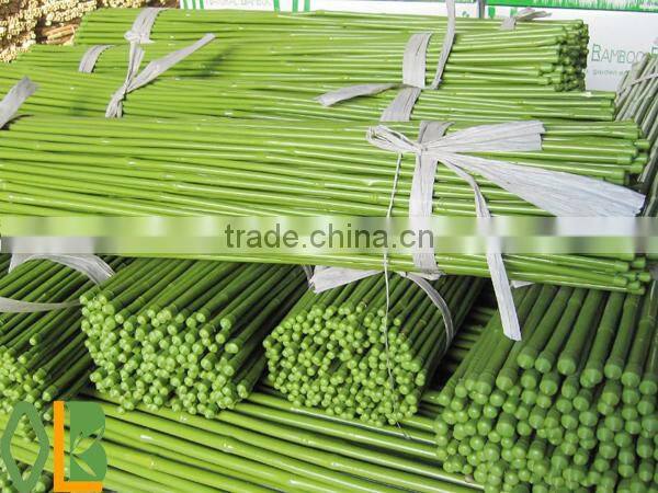 nature straight well dry bamboo flower sticks