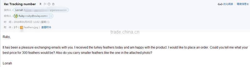 Parabolic Right Wing New Real Camo Archery Fletchings Wholesale For Compound Bows