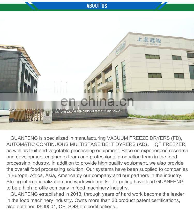 Food machinery manufacturer sea cucumber processing line machine