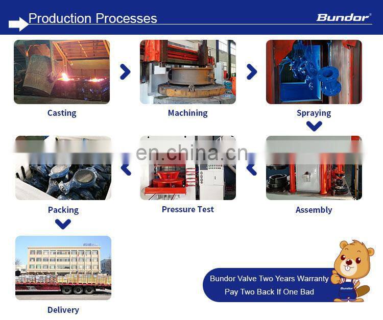 Bundor DN50-600 Flange Wedge Gate Valve PN16 Hand Wheel Rising Stem Extension Stem Gate Valve