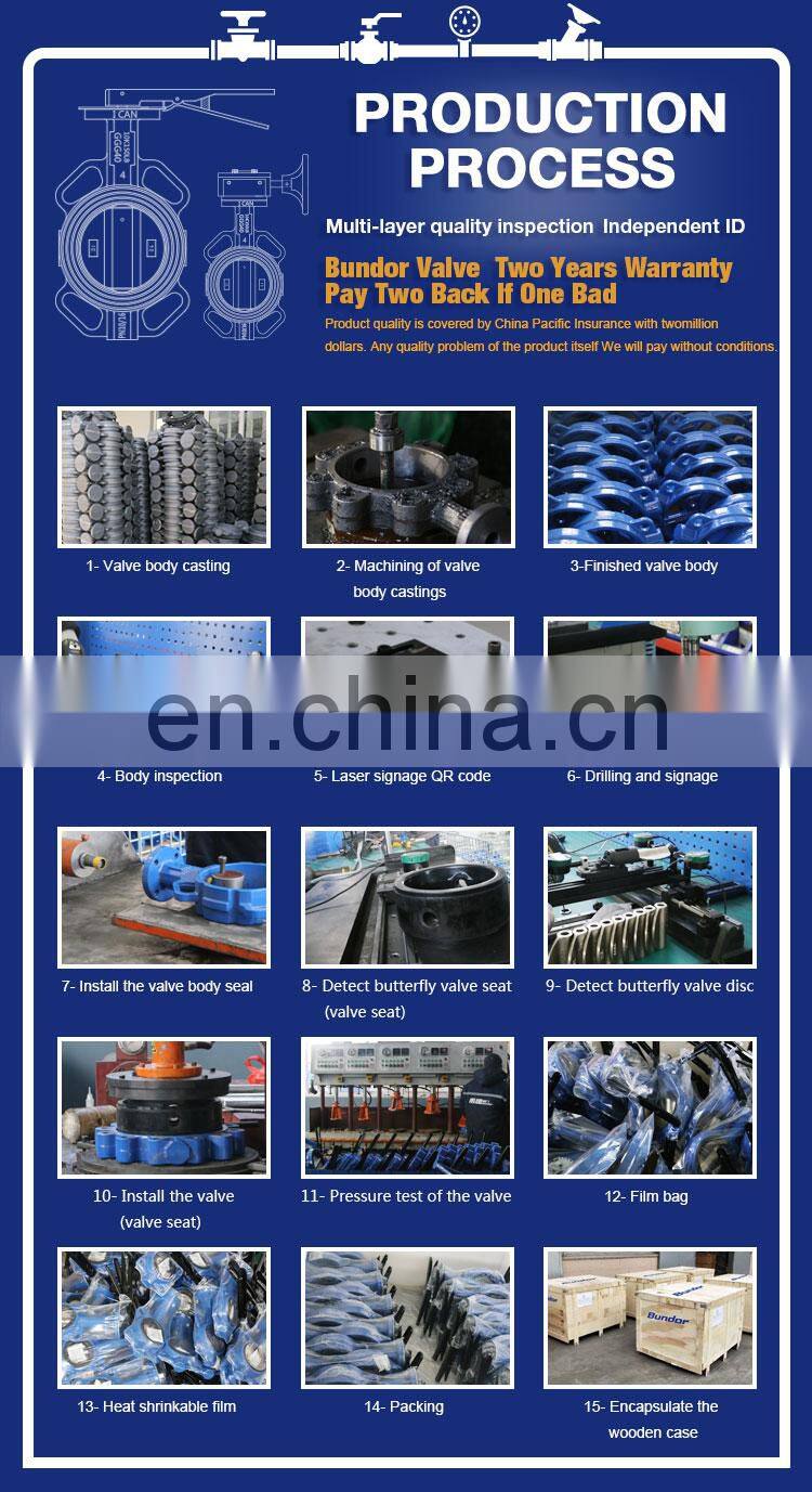 Bundor DN50 Ductile Iron PN16/250PSI Flange Adapter For Water