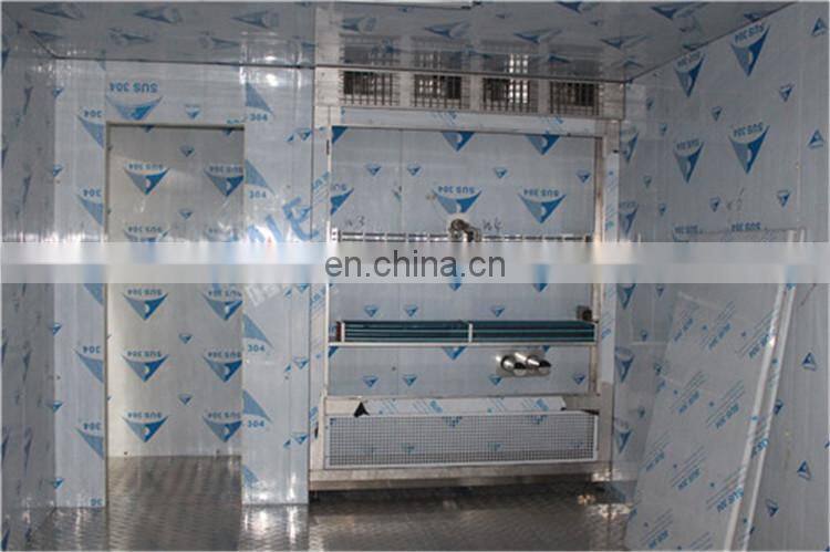 Customized Walk - In Climate Chamber Temperature Humidity Chamber price steam equipment environmental climatic machine factory